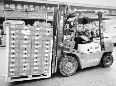 年貨送什么 丑橘 車?yán)遄?新年抱抱桶 等備受喜愛