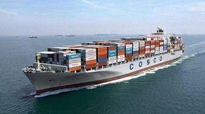 國(guó)際貨運(yùn)與國(guó)際物流 全球經(jīng)濟(jì)一體化的血脈