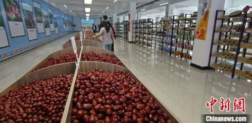 京津冀聯(lián)接?xùn)|北地區(qū)規(guī)模最大農(nóng)產(chǎn)品冷鏈物流產(chǎn)業(yè)園開(kāi)園 打通國(guó)際物流新通道